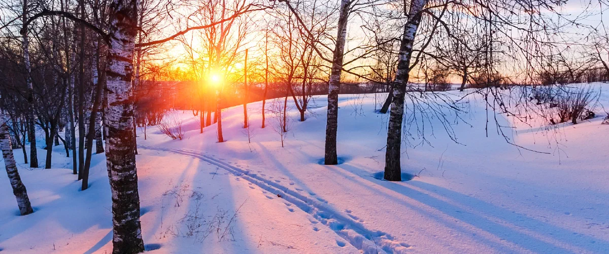 January 2020 Newsletter