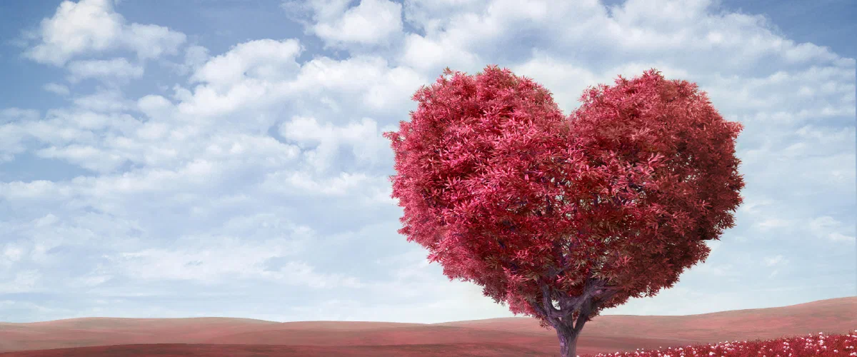 Neighbourhood Watch London - Fenruary Newsletter Header - Heart Shaped Tree