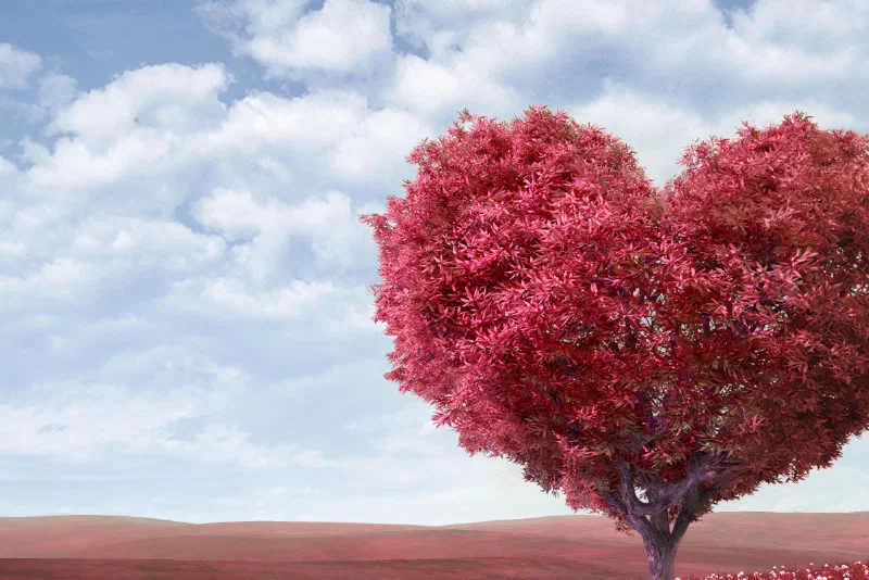 Neighbourhood Watch London - Fenruary Newsletter Header - Heart Shaped Tree